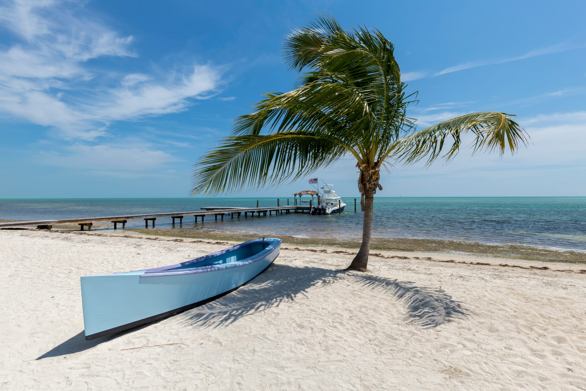 Tropical Coast Background